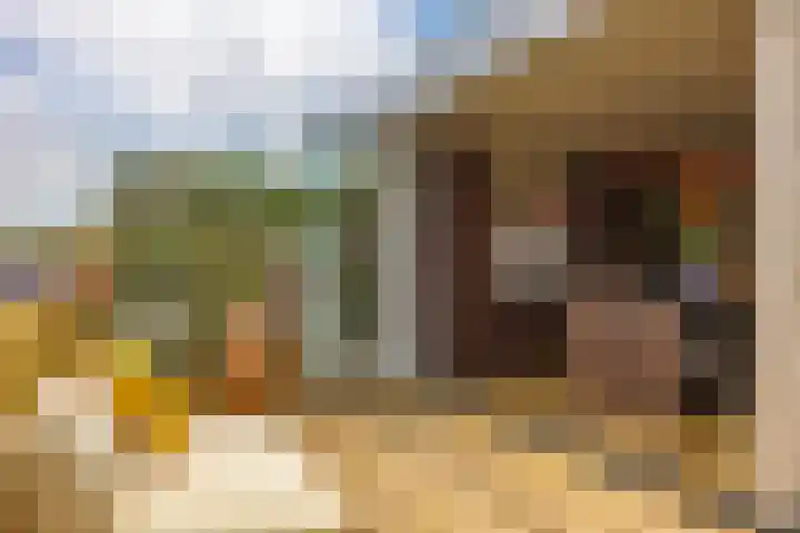Penninglaan 28 Rijswijk thumbnail 5