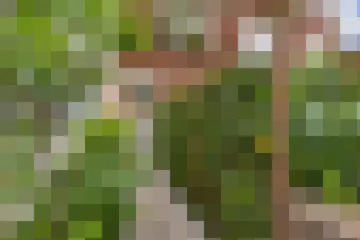 Penninglaan 28 Rijswijk thumbnail 52