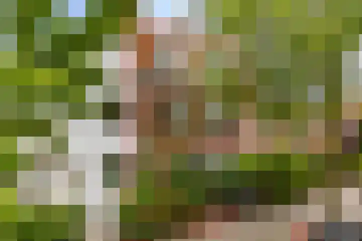 Penninglaan 28 Rijswijk thumbnail 54