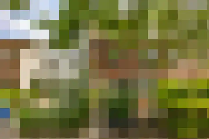 Penninglaan 28 Rijswijk thumbnail 55