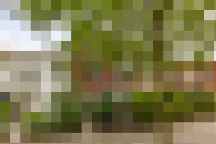 Penninglaan 28 Rijswijk thumbnail 56