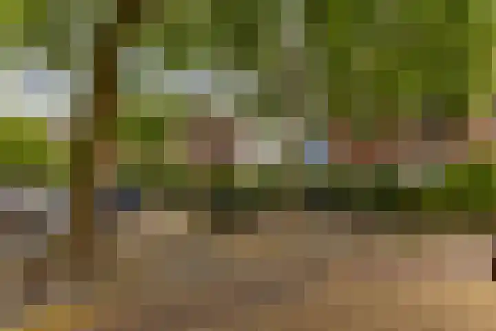 Penninglaan 28 Rijswijk thumbnail 57