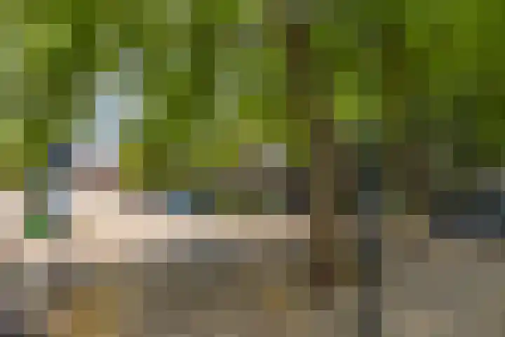 Penninglaan 28 Rijswijk thumbnail 58
