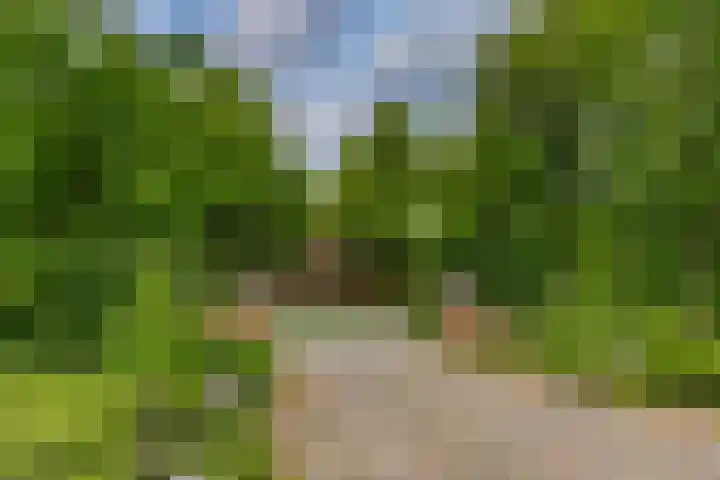 Penninglaan 28 Rijswijk thumbnail 59