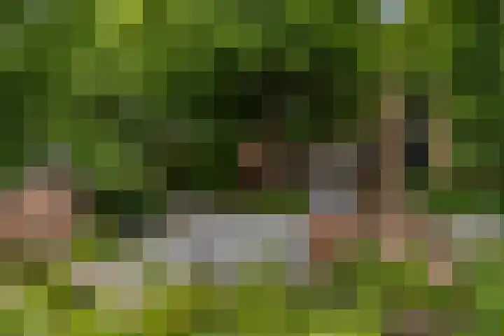 Penninglaan 28 Rijswijk thumbnail 60
