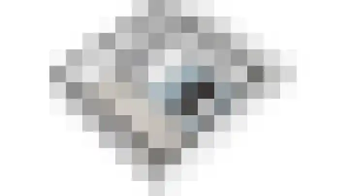 Penninglaan 28 Rijswijk thumbnail 67