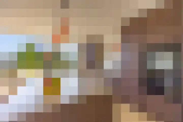 Penninglaan 28 Rijswijk thumbnail 7