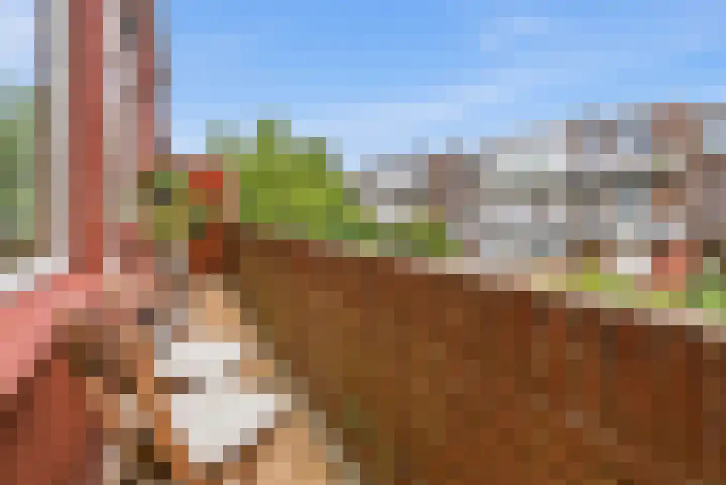 Penninglaan 32 Rijswijk thumbnail 15