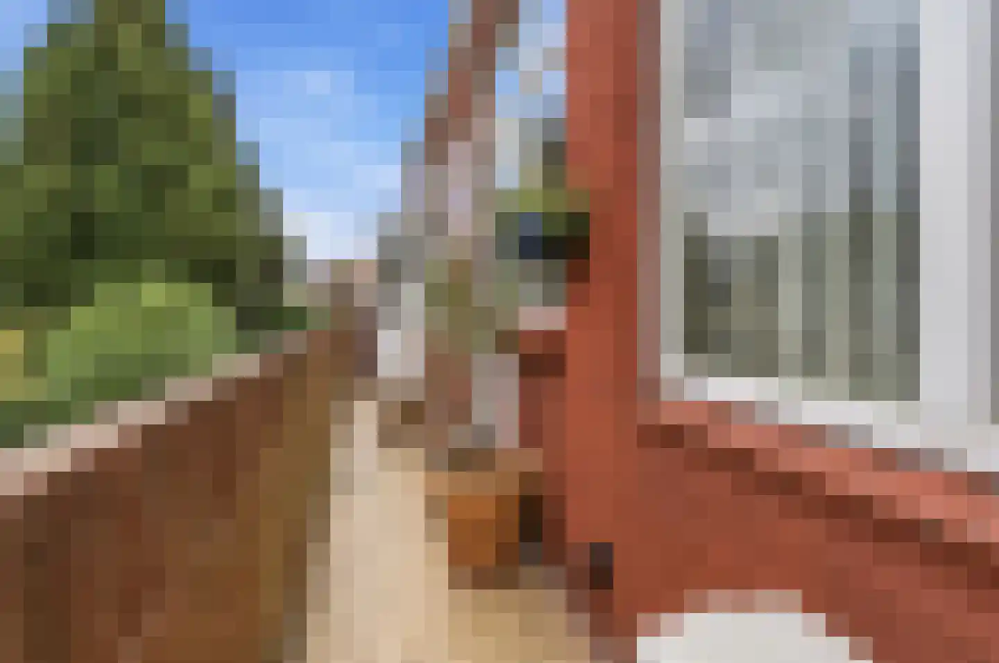 Penninglaan 32 Rijswijk thumbnail 16