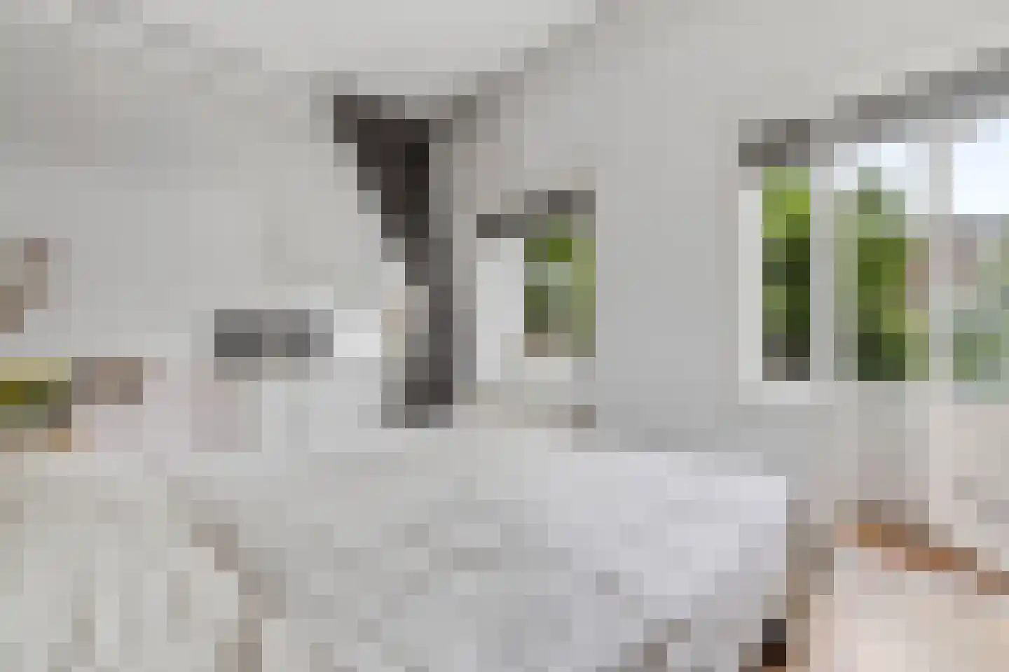 Penninglaan 32 Rijswijk thumbnail 20