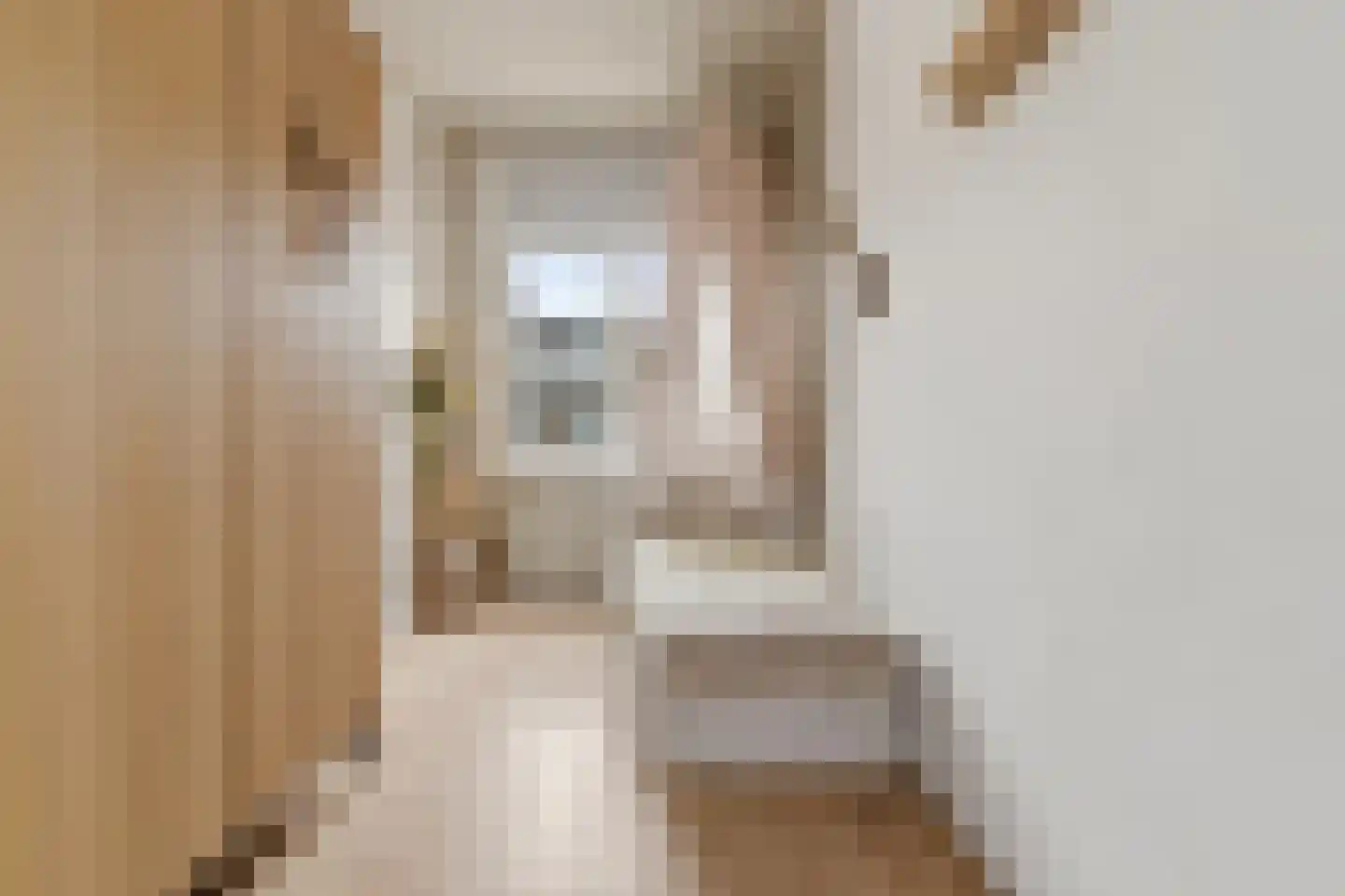 Penninglaan 32 Rijswijk thumbnail 25