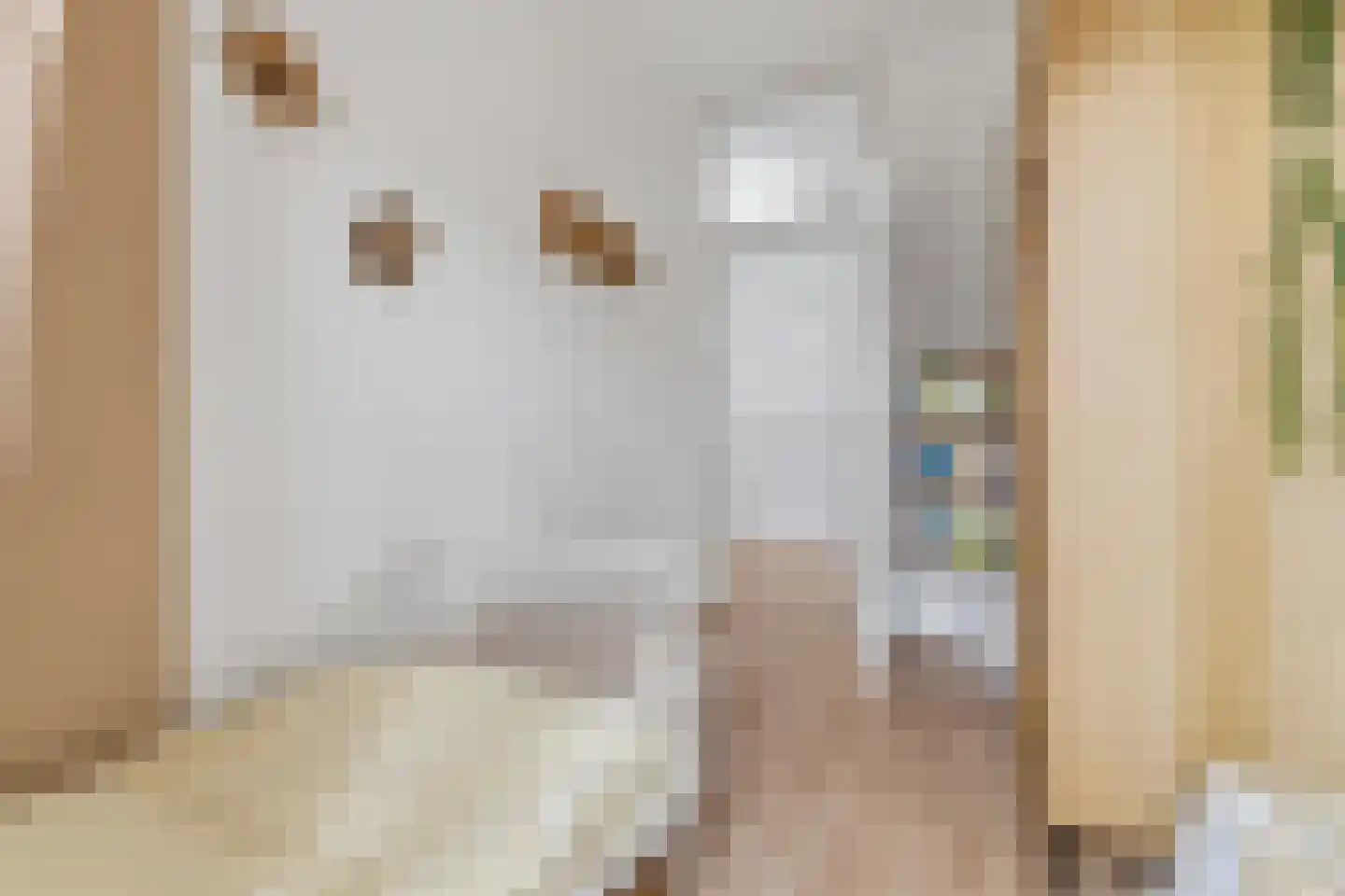 Penninglaan 32 Rijswijk thumbnail 25