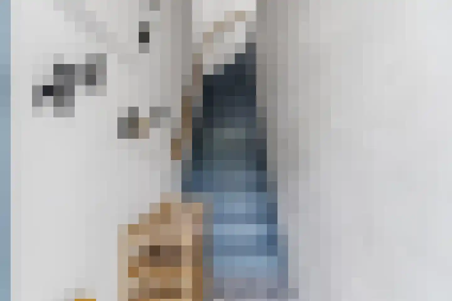 Penninglaan 32 Rijswijk thumbnail 4