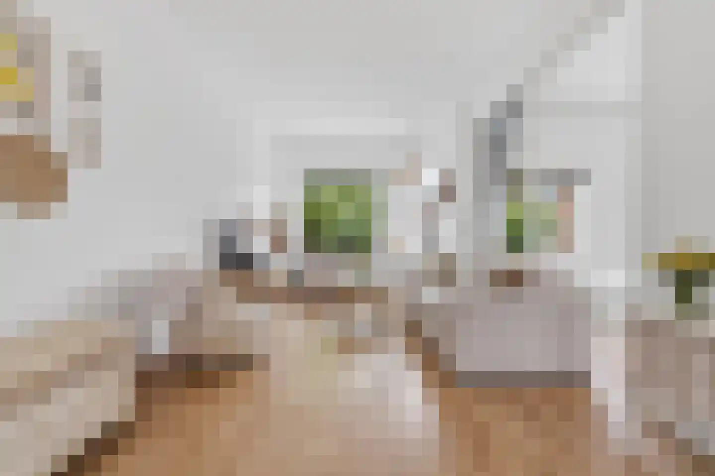 Penninglaan 32 Rijswijk thumbnail 5
