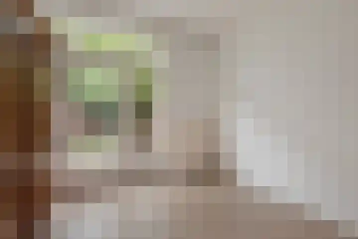 Penninglaan 38 Rijswijk thumbnail 13