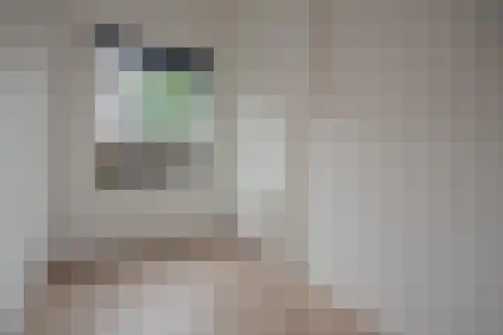 Penninglaan 38 Rijswijk thumbnail 14
