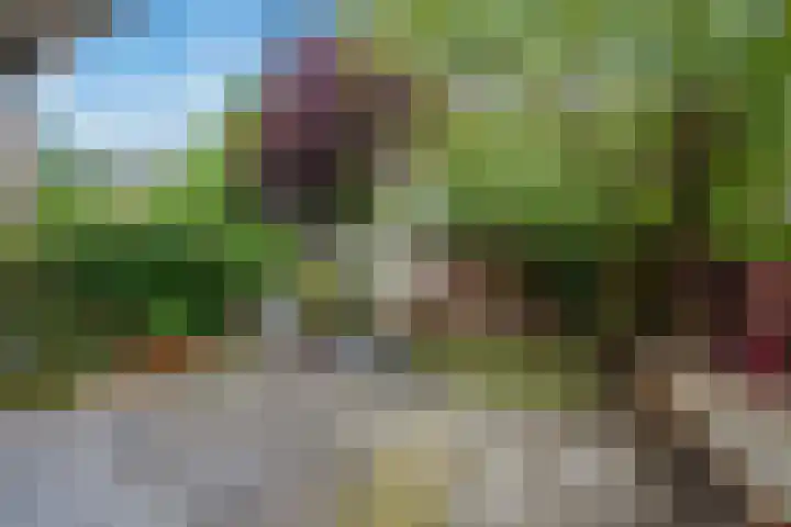 Penninglaan 38 Rijswijk thumbnail 21