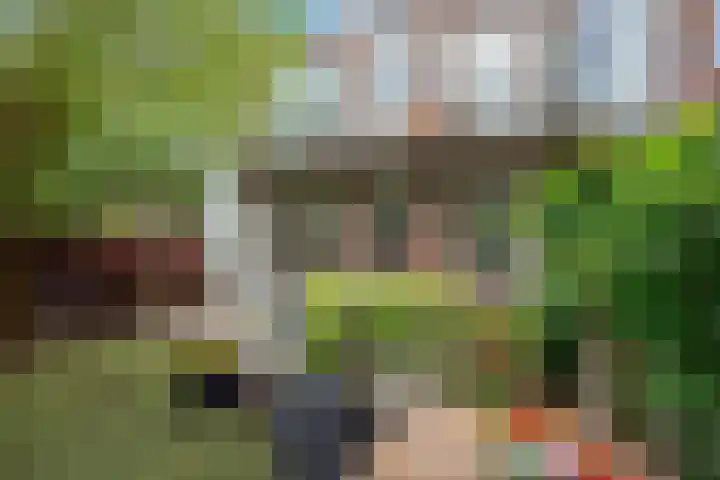 Penninglaan 38 Rijswijk thumbnail 22