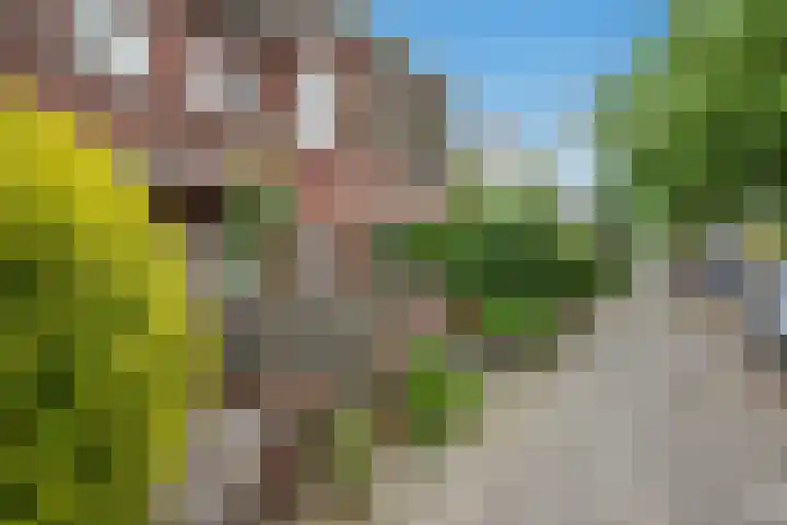 Penninglaan 38 Rijswijk thumbnail 23