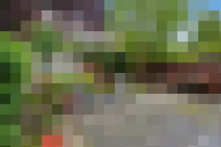 Penninglaan 38 Rijswijk thumbnail 4