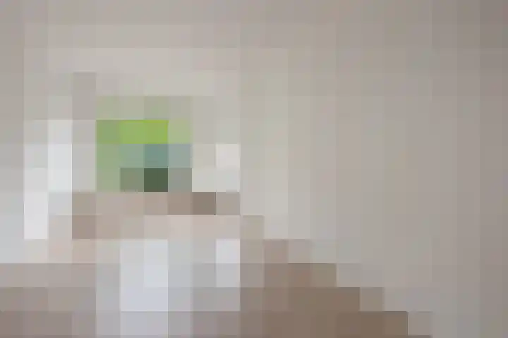 Penninglaan 38 Rijswijk thumbnail 7