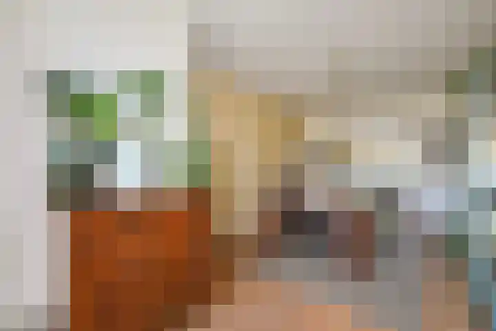 Penninglaan 50 Rijswijk thumbnail 21