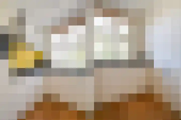 Penninglaan 50 Rijswijk thumbnail 27