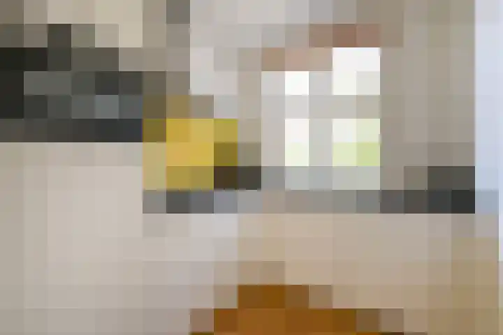 Penninglaan 50 Rijswijk thumbnail 28