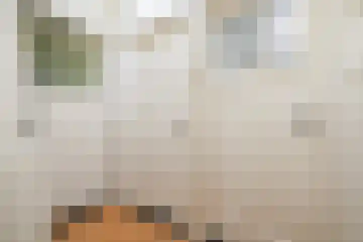 Penninglaan 50 Rijswijk thumbnail 30