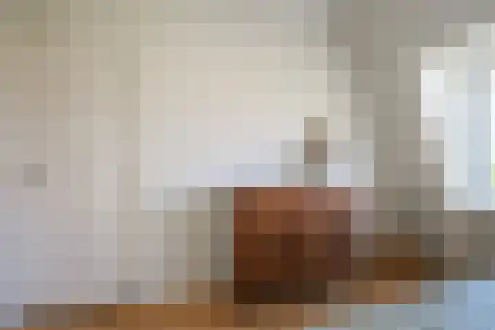 Penninglaan 50 Rijswijk thumbnail 33