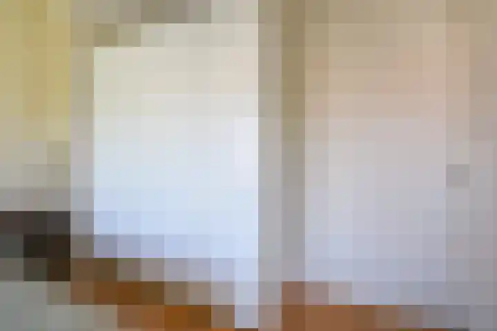 Penninglaan 50 Rijswijk thumbnail 34
