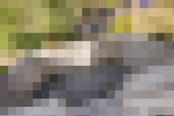 Penninglaan 50 Rijswijk thumbnail 35