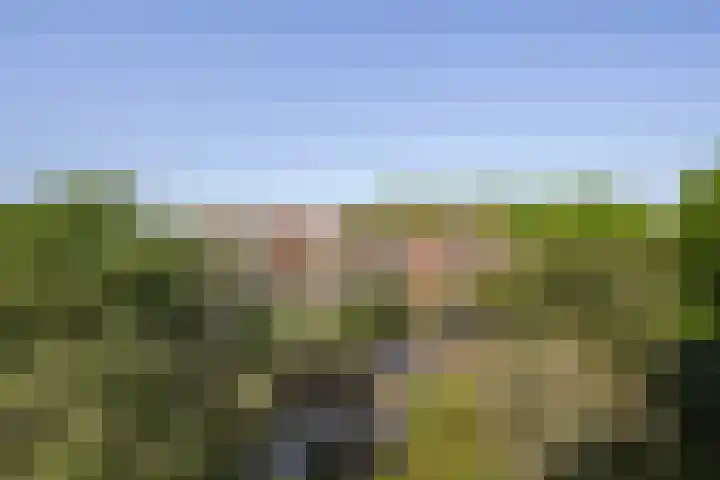 Penninglaan 50 Rijswijk thumbnail 37