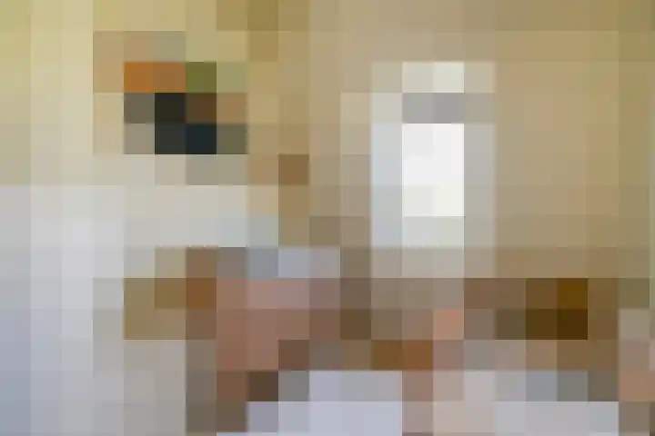 Penninglaan 50 Rijswijk thumbnail 39