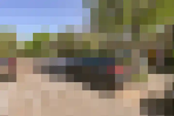 Penninglaan 50 Rijswijk thumbnail 4