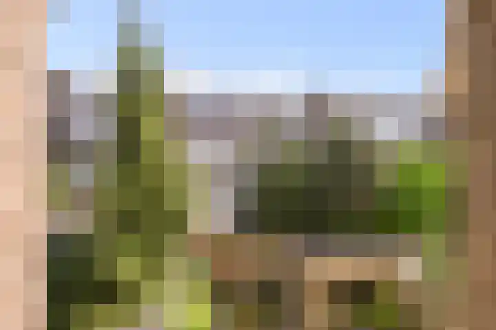 Penninglaan 50 Rijswijk thumbnail 40