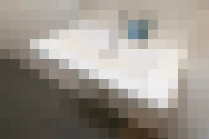 Penninglaan 50 Rijswijk thumbnail 45