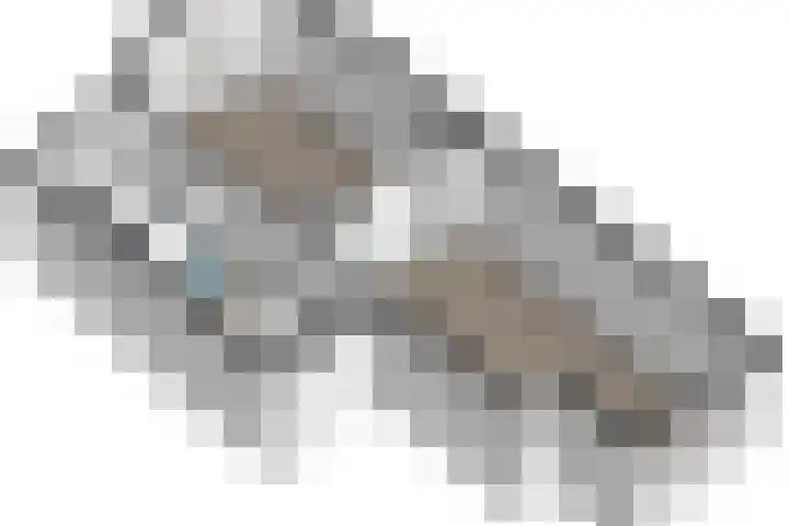 Penninglaan 50 Rijswijk thumbnail 47