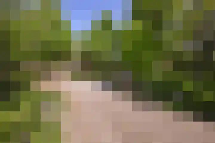 Penninglaan 50 Rijswijk thumbnail 5