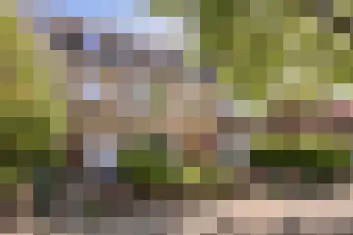Penninglaan 50 Rijswijk thumbnail 52