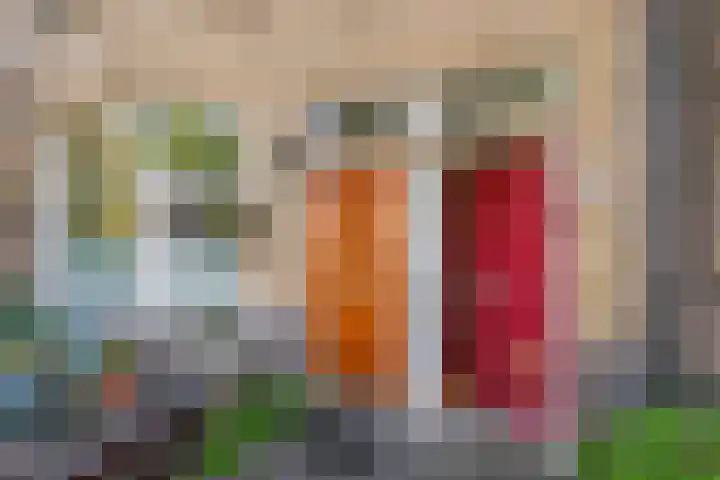 Penninglaan 50 Rijswijk thumbnail 6
