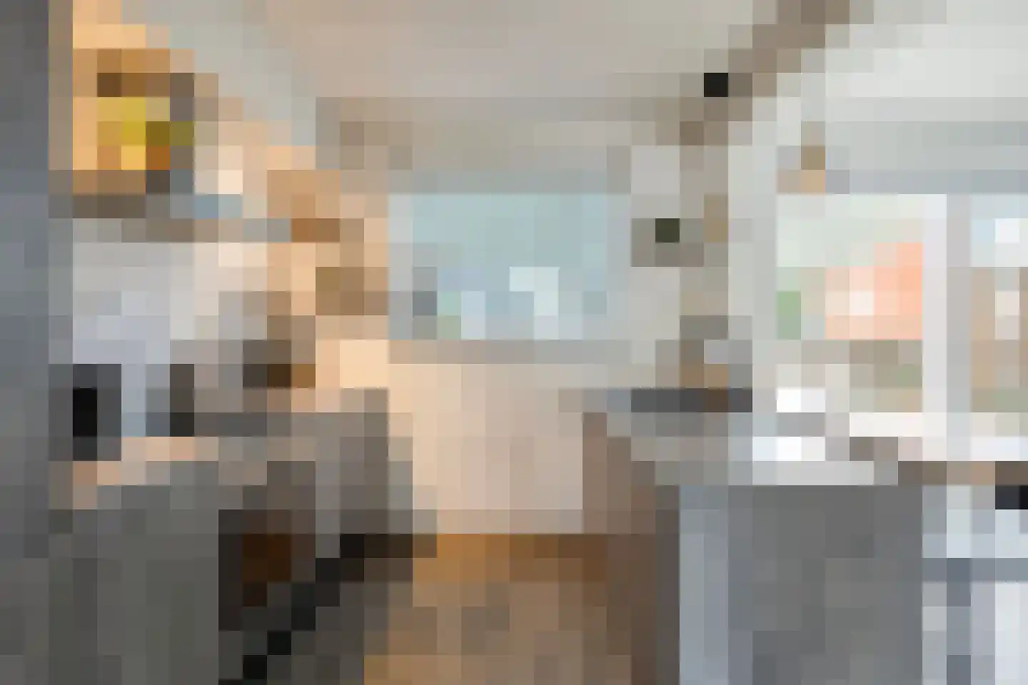 Penningruwe 27 Maastricht thumbnail 8