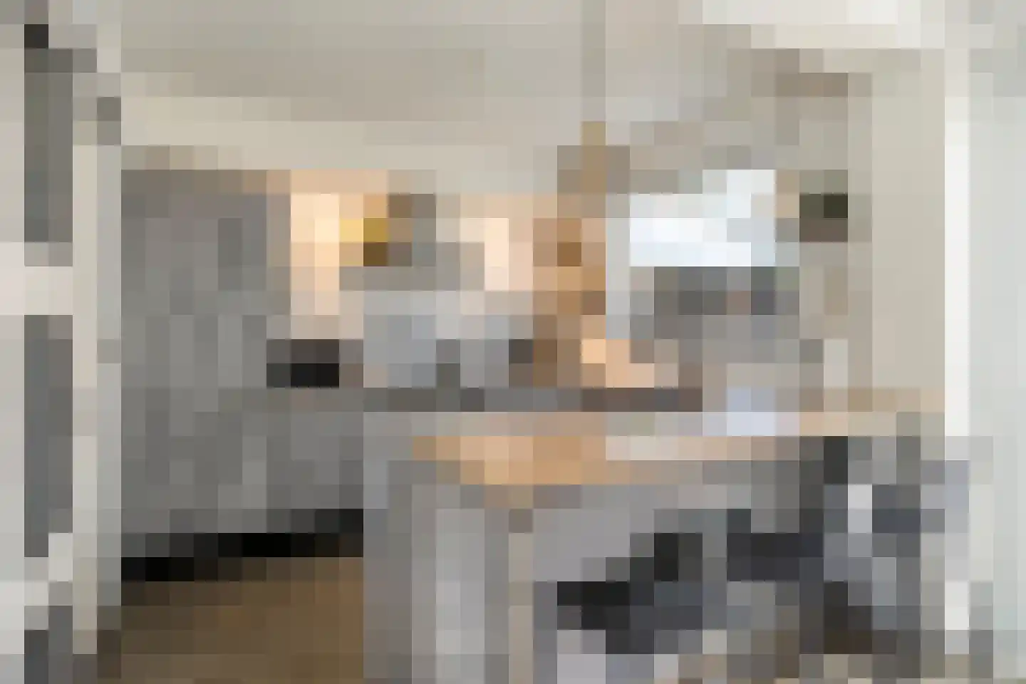 Penningruwe 27 Maastricht thumbnail 9