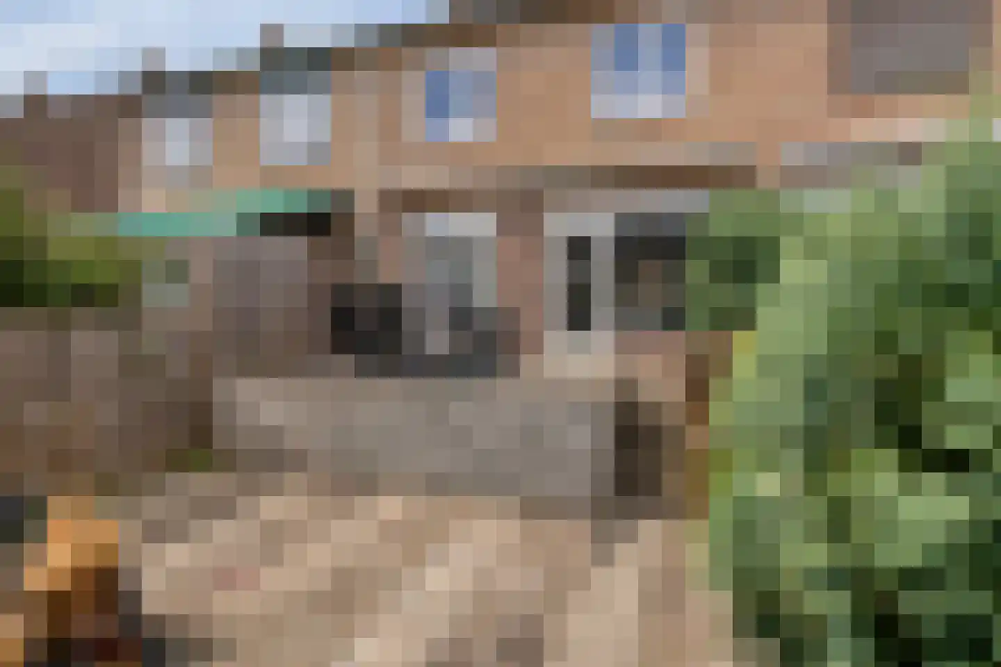 Penningruwe 9 Maastricht thumbnail 17