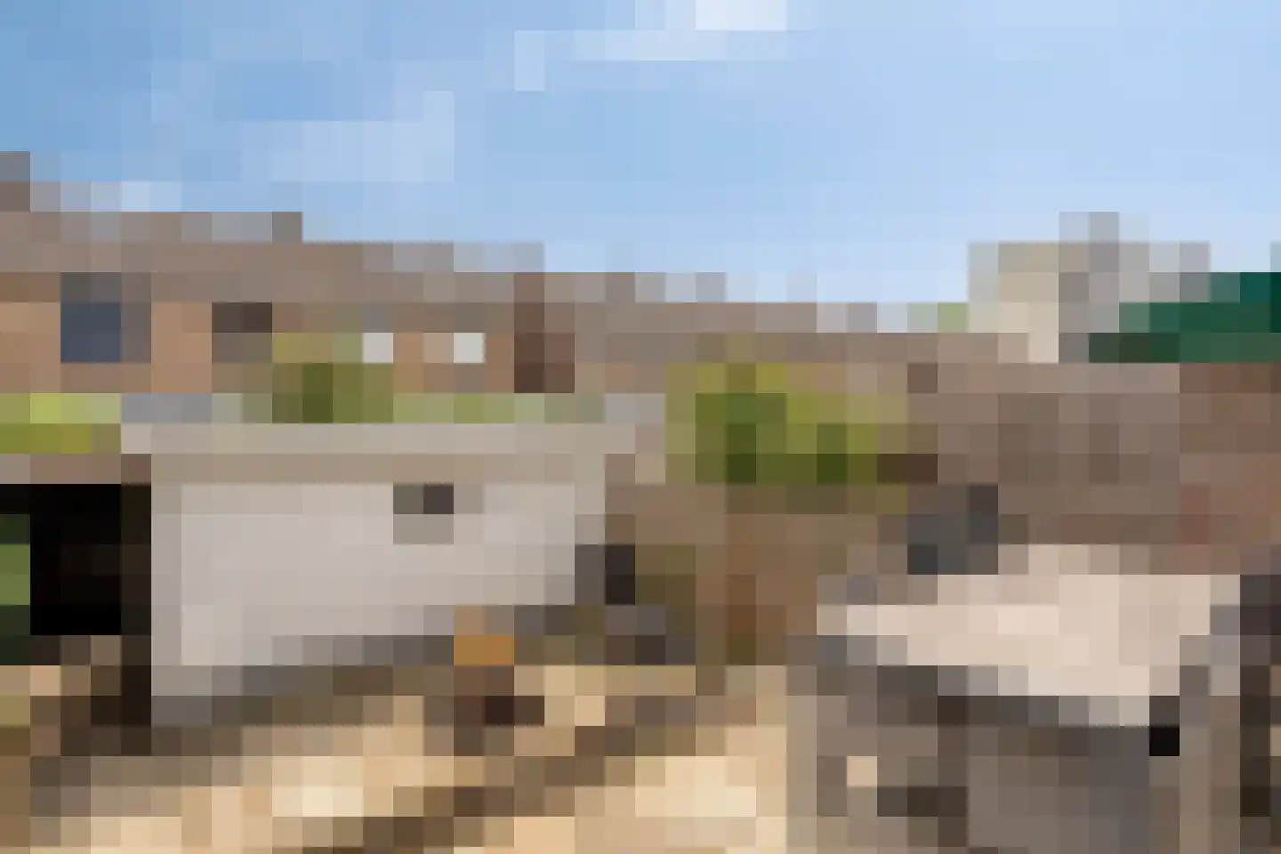 Penningruwe 9 Maastricht thumbnail 18