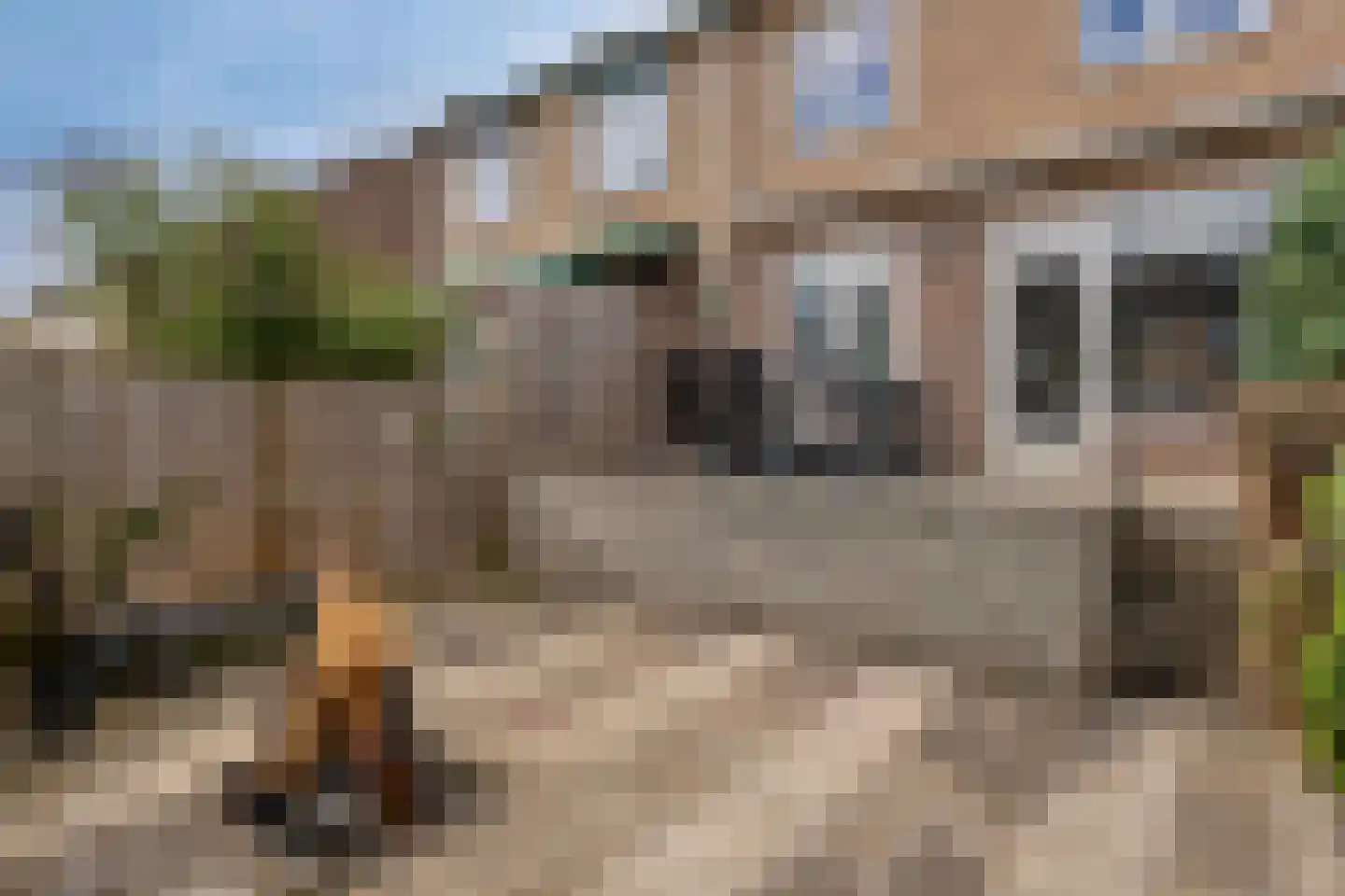 Penningruwe 9 Maastricht thumbnail 19