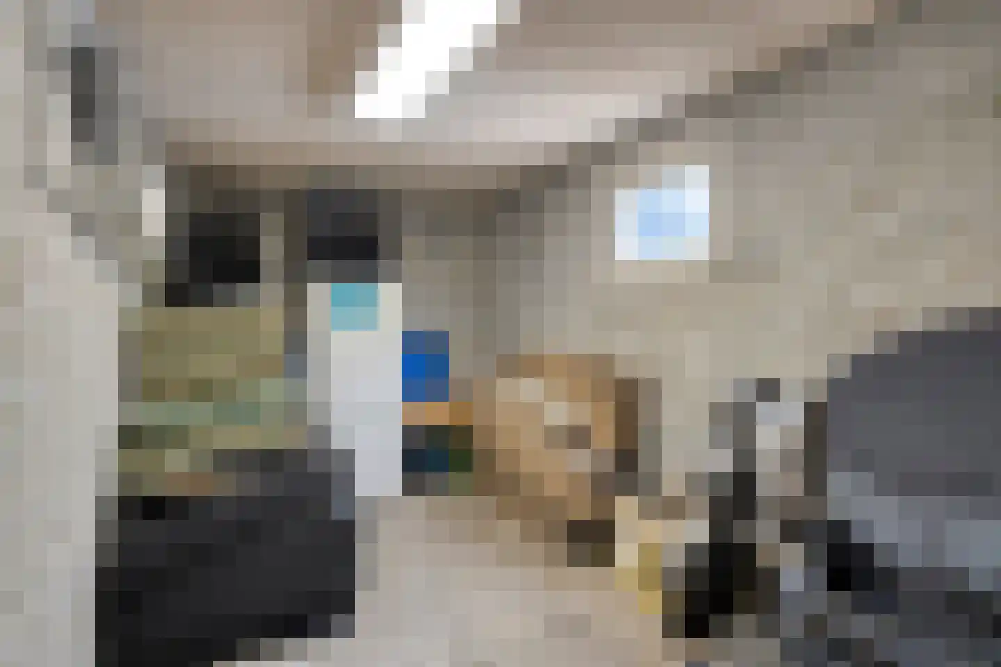 Penningruwe 9 Maastricht thumbnail 21