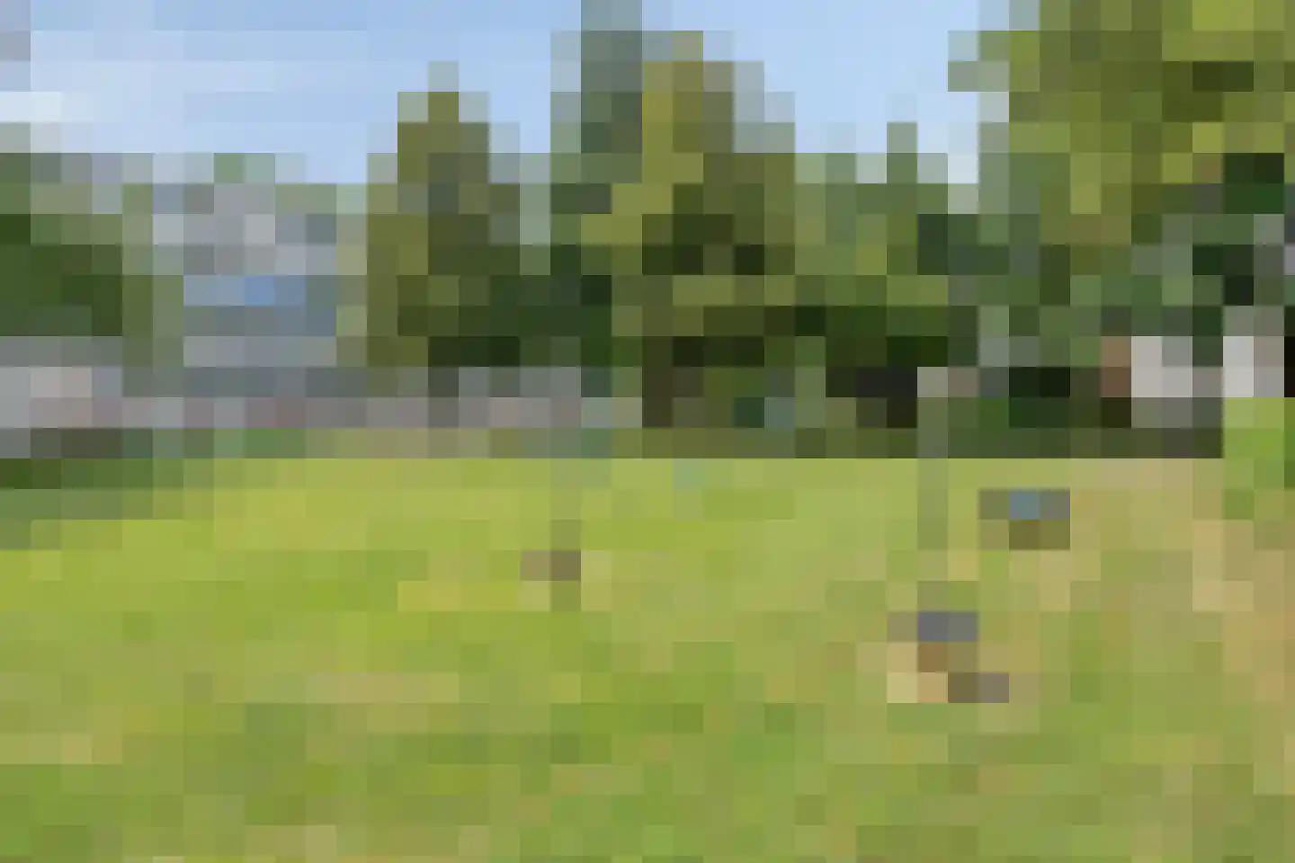Penningruwe 9 Maastricht thumbnail 35