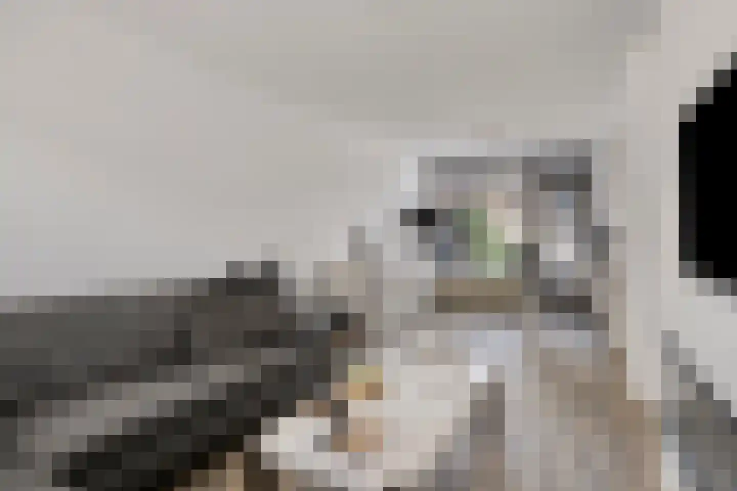 Penningruwe 9 Maastricht thumbnail 8