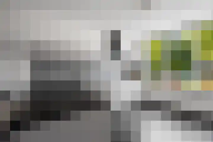 Penningslag 4 Houten thumbnail 16